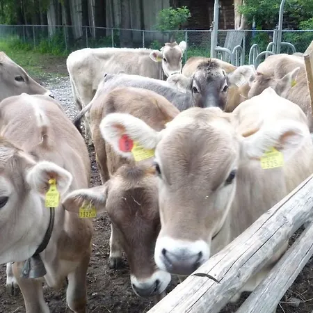 Apartment Studio Ian With Large Balcony With View Of Fields, Cows With Parking, Wi-fi *